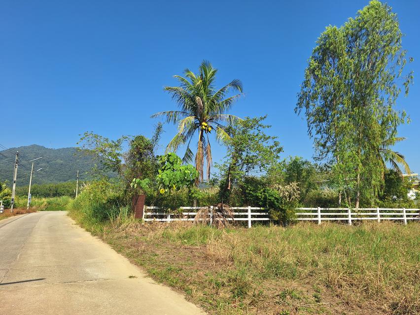 ที่ดินวิวเขายายดา ระยอง 4