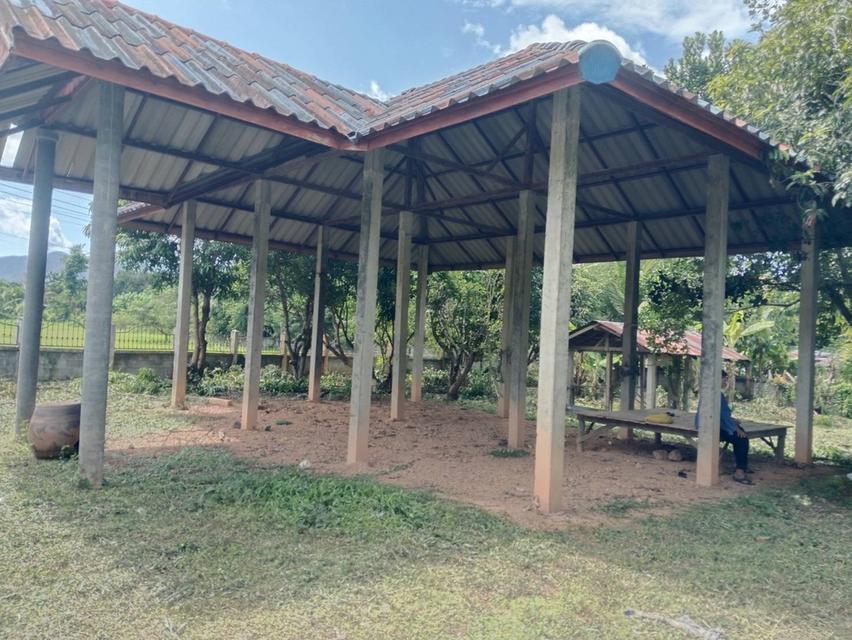 ที่ดิน ตำบลป่าสัก อำเภอวังชิ้น จังหวัดแพร่ 5