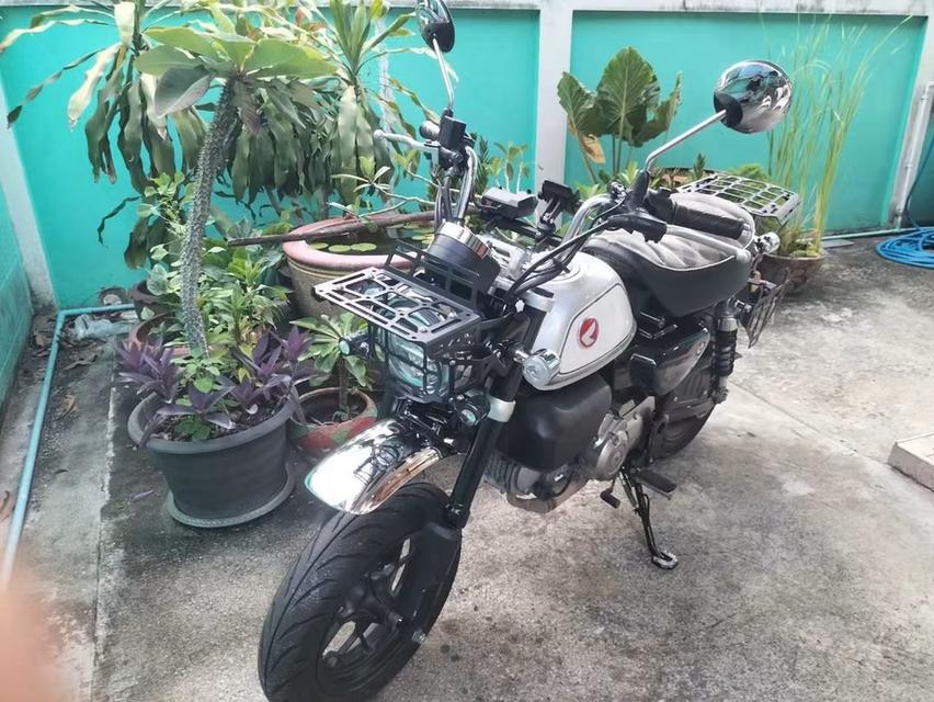Honda monkey 125 มี 5 เกียร์ ปี 2023 จ รูปย่อยที่ 2