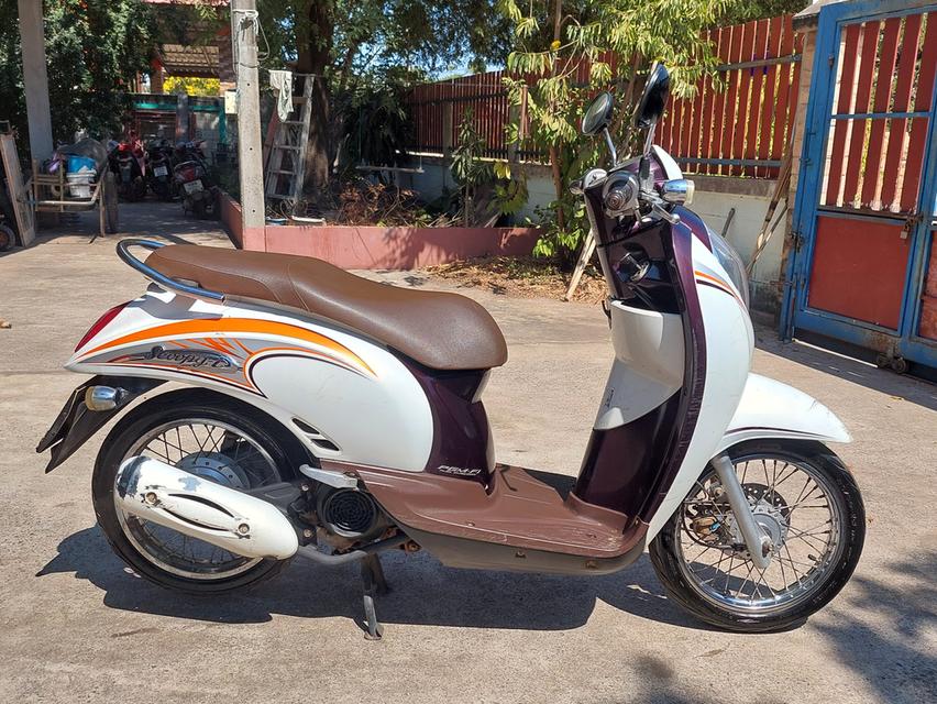 Honda scoopy i รถมือสอง