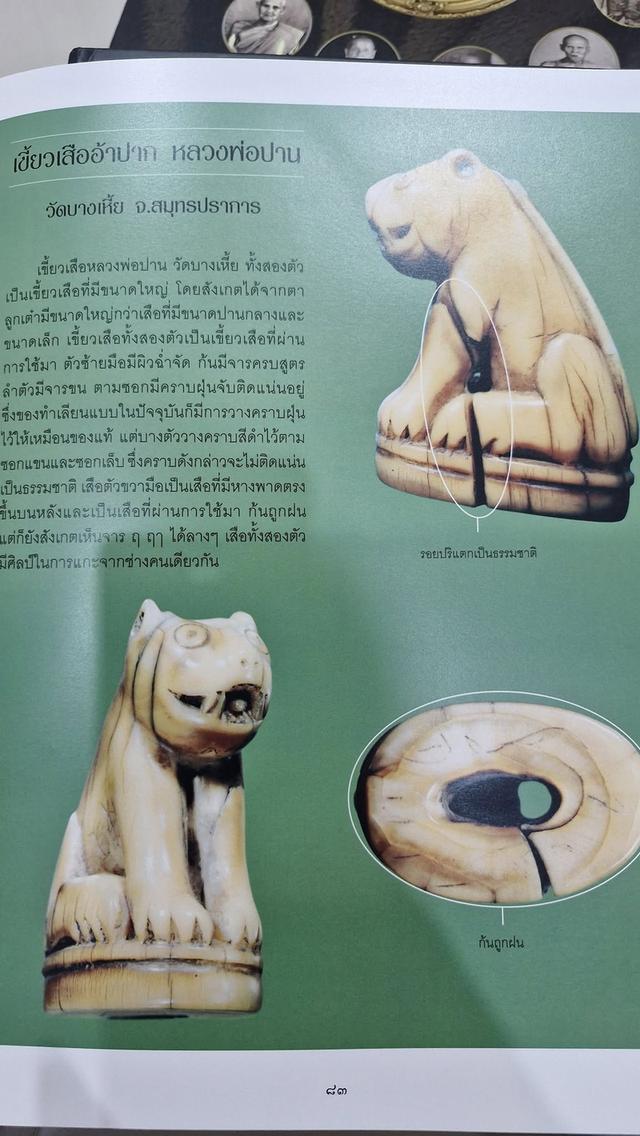 เขี้ยวเสือแท้โปร่งฟ้า ตามตำรา หลวงพ่อปาน รูปย่อยที่ 2