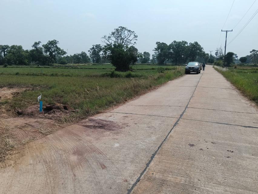 ขายที่ดินแถว ม.อุบล ติดถนนคอนกรีต มีไฟฟ้าผ่าน เข้าออกได้หลายทาง จำนวน 100 ตรว แบ่งขาย 3 แสน เจ้าของขายเอง 4