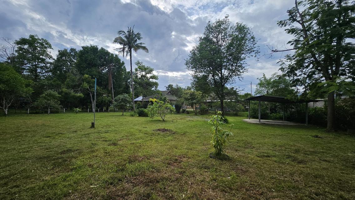 ขายที่ดินที่ดิน ต.หนองควาย พื้นที่ 2-1-83ตรว 22.6 ล้าน 18