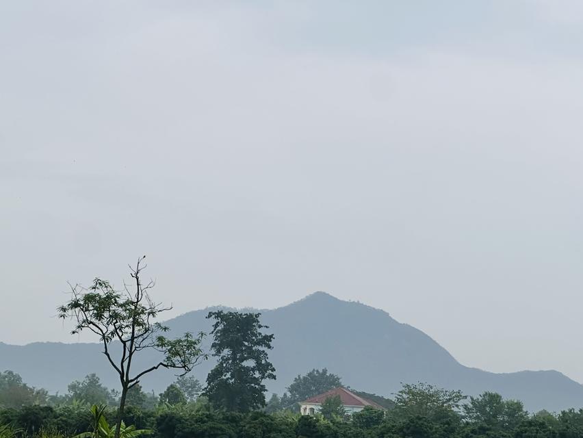 ที่ดิน สวนผลไม้ บ่อปลา 9