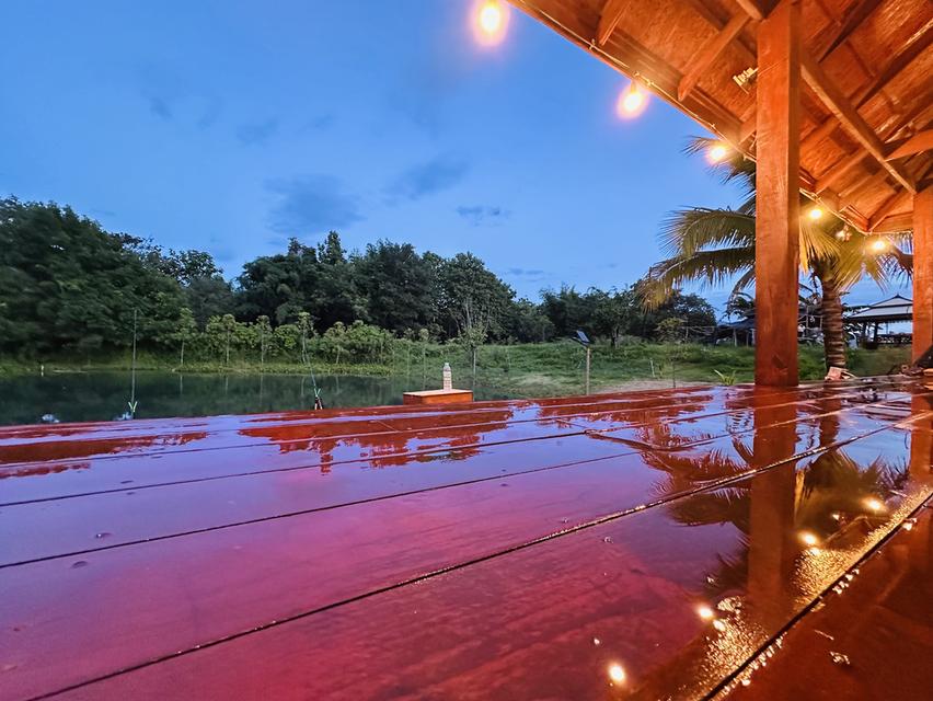 ที่ดิน สวน บ้าน บ่อปลา 5