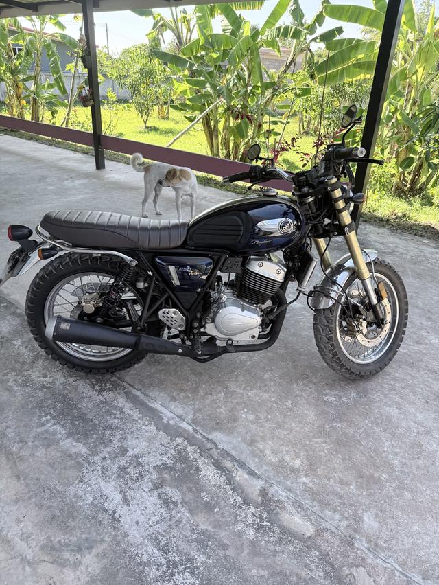 Gpx legend 250 Brighton  3