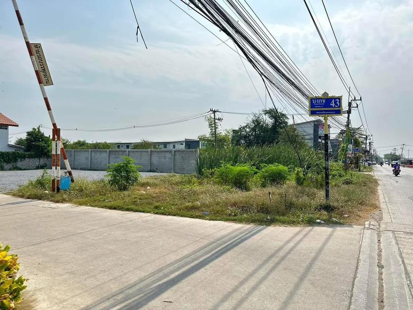 ขายที่ดินต้นซอยบงกช 43 ซอยบงกช 43 ถนนเลียบคลอง 2 ต.คลองหลวง อ.คลองหลวง จ.ปทุมธานี  1