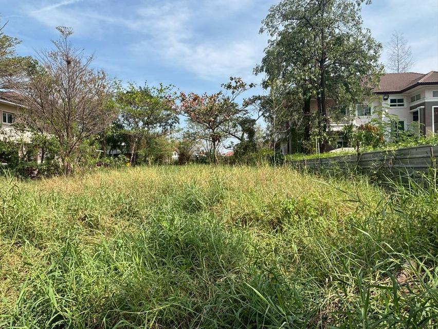 ขายที่ดินเปล่าเพื่อสร้างที่อยู่อาศัย 8