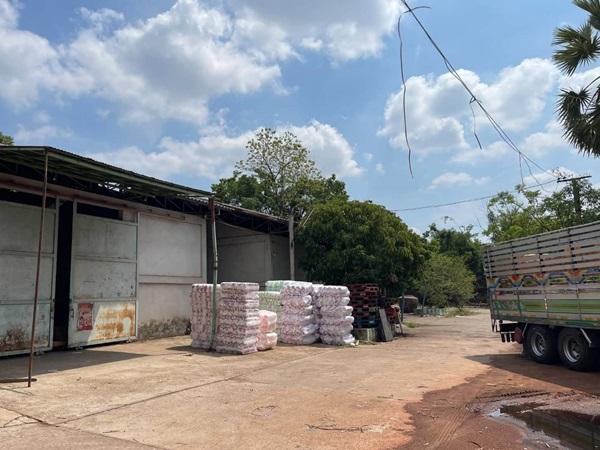 ขายที่ดินใจกลางเมืองหนองคาย ต.โพธิ์ชัย อ.เมือง จ.หนองคาย โกดังขนาดใหญ่ โทร 0996241535 5