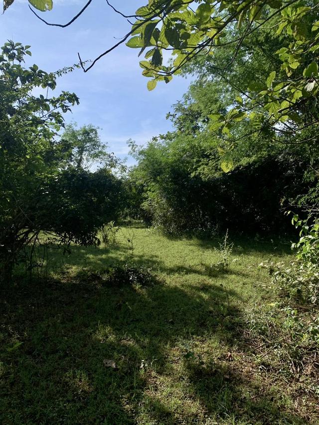 ที่ดิน 9 ไร่ 1 งาน 7 ตรว 10