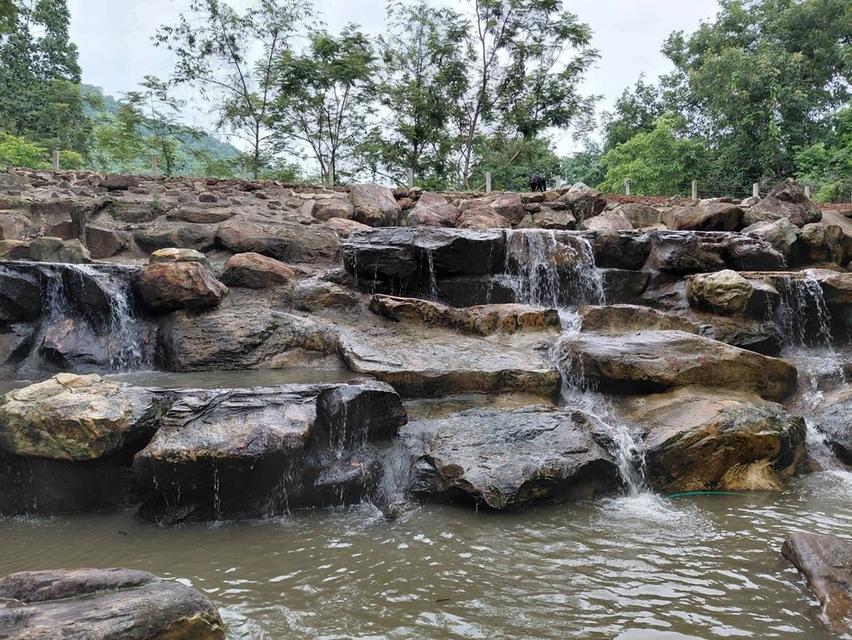 ขายที่เนินหอม เขาใหญ่ 37ไร่ ที่ติดเขาติดน้ำ เนินหอม เมืองปราจีนบุรี มีแหล่งน้ำธรรมชาติ ใกล้ทางขึ้นอุทยานเขาใหญ่ มีน้ำในที่ ขายถูก ที่มีไม้เศรษฐกิจ 5