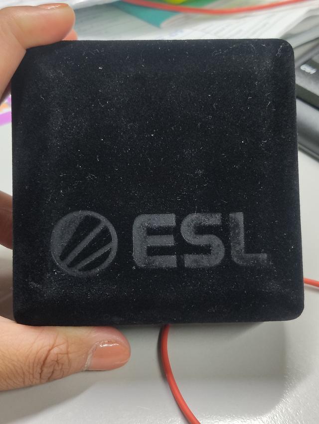 ESL ONE BANGKOK 2024 เหรียญสะสม รูปที่ 2