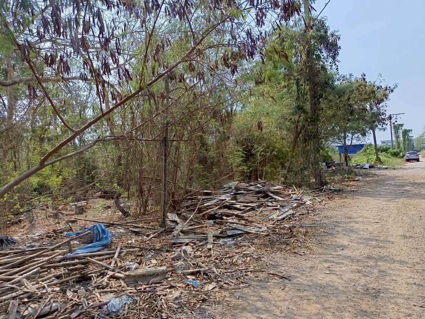 [ขายด่วน!] ที่ดินจัดสรรทำเลทอง คลอง 6 - ใกล้ มทร.ธัญบุรี ราคาพิเศษเพียง 690,000 บาท/แปลง (เฉลี่ยเพียง 6,900.-/ตร.ว. ถูกที่สุดในย่านนี้!) 10