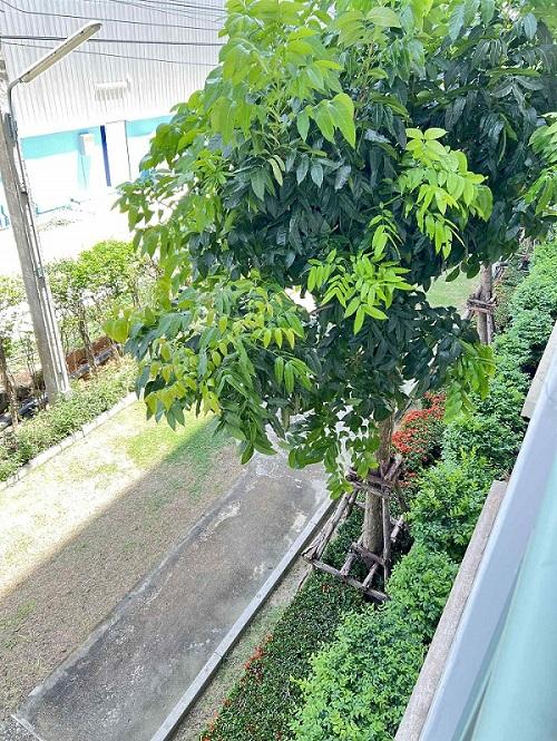 ขายคอนโดลุมพินี คอนโดทาวน์ ร่มเกล้า – สุวรรณภูมิ ใกล้ Airport Link ลาดกระบัง ถนนร่มเกล้า กรุงเทพ. 8