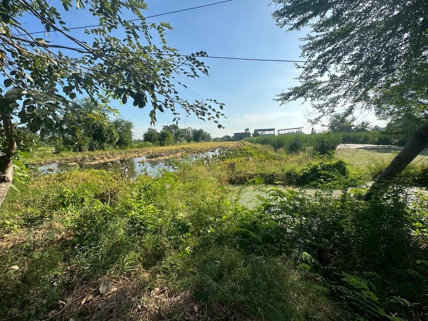 ที่ดินเปล่านิมิตใหม่ ราคาดี ติดถนน 2