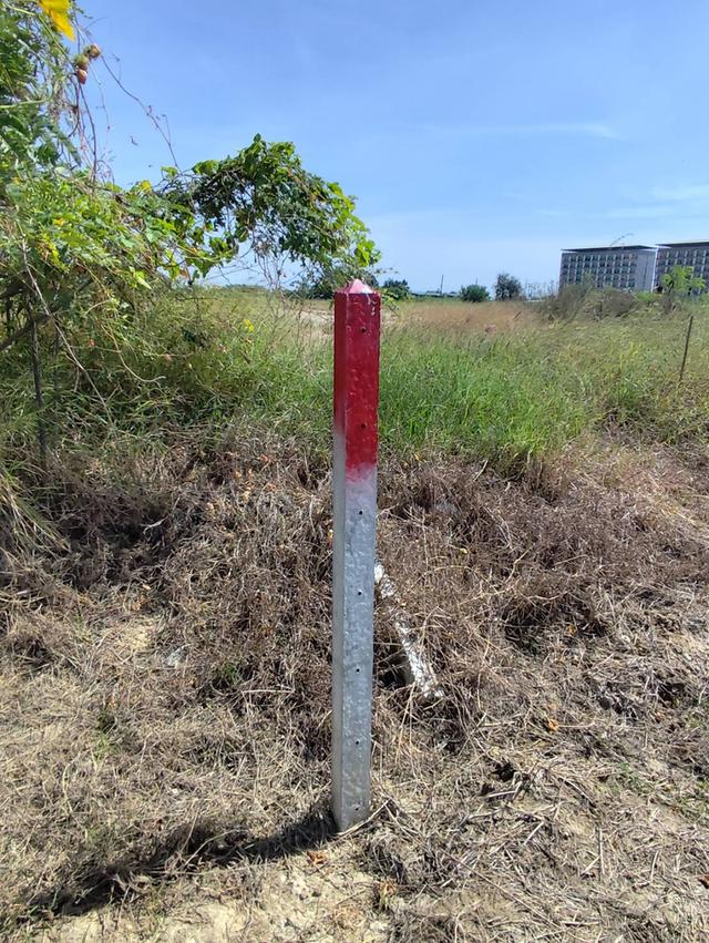 Sale Nice Land 5 Rais Nakhon Pathom suitable for residence and Projects 6