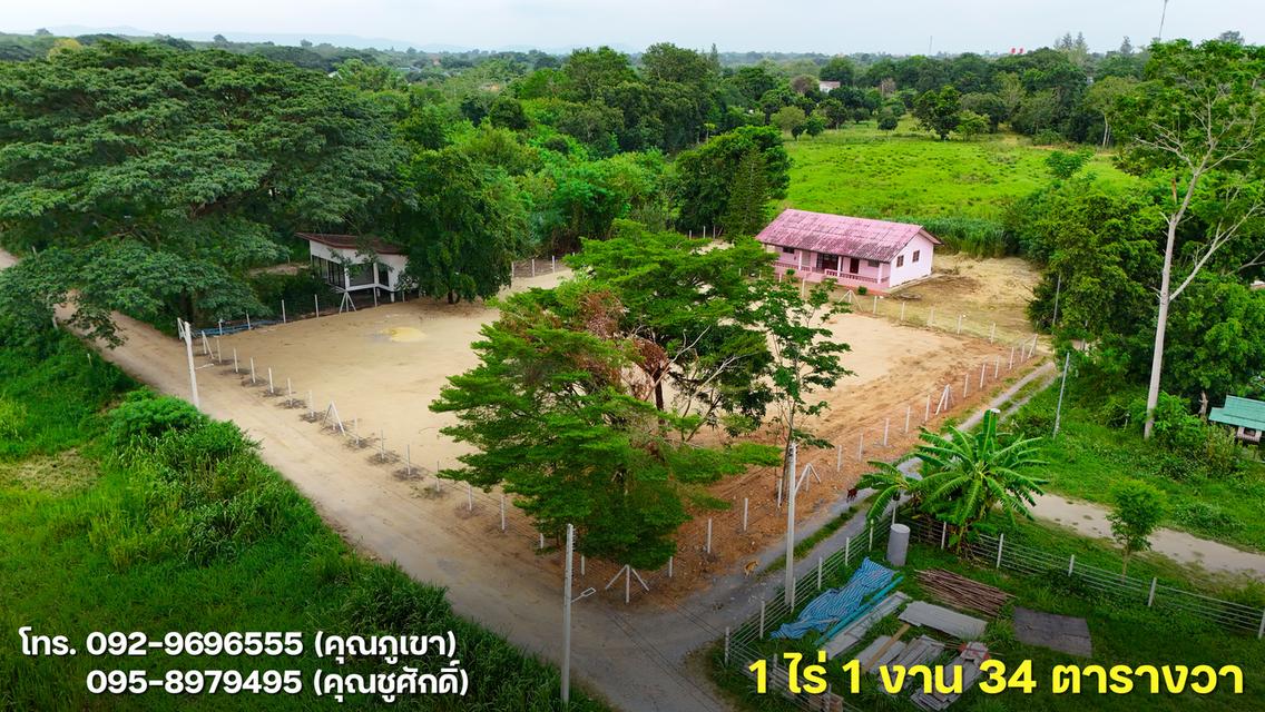 ขายที่ดินโซนเมืองปากช่อง 1 ไร่ 1 งาน 34 ตารางวา 4