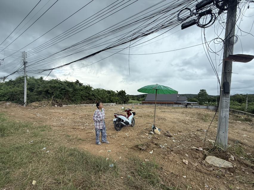 ที่ดิน 6