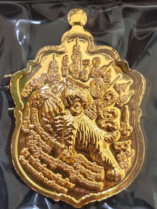 หลวงปู่แสน พยัคฆ์แสนล้าน ปี2562 รูปที่ 3