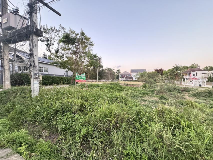 ขายที่ดินจังหวัดเชียงใหม่ 4