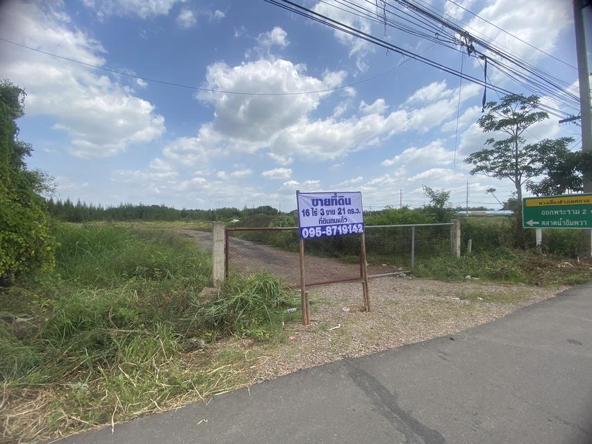 ขายที่ดินแม่กลอง แปลง 16 ไร่ 3 งาน 21 ตรว 1