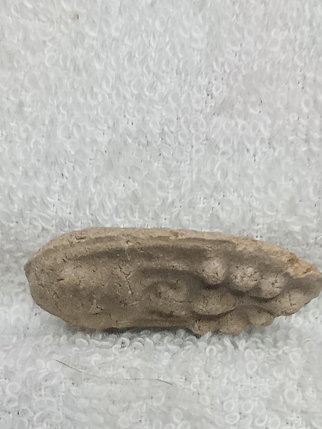 พระนาคปรก วัดพระธาตุพนม ปี2518 5