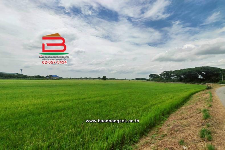 ที่ดินเปล่า เนื้อที่ 11-1-27.7 ไร่ ใกล้วัดชัยสิทธาราม ถนนเลียบคลองหางบางศาลา ตำบลจรเข้ร้อง อำเภอไชโย อ่างทอง 3