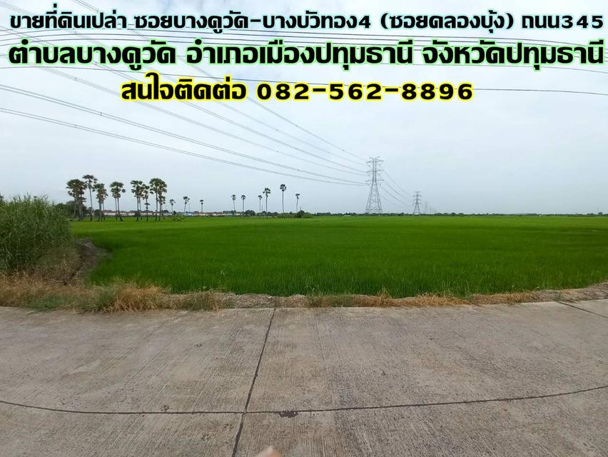 ขายที่ดินเปล่า ซอยบางคูวัด-บางบัวทอง4 (ซอยคลองบุ้ง) ถนน345 1