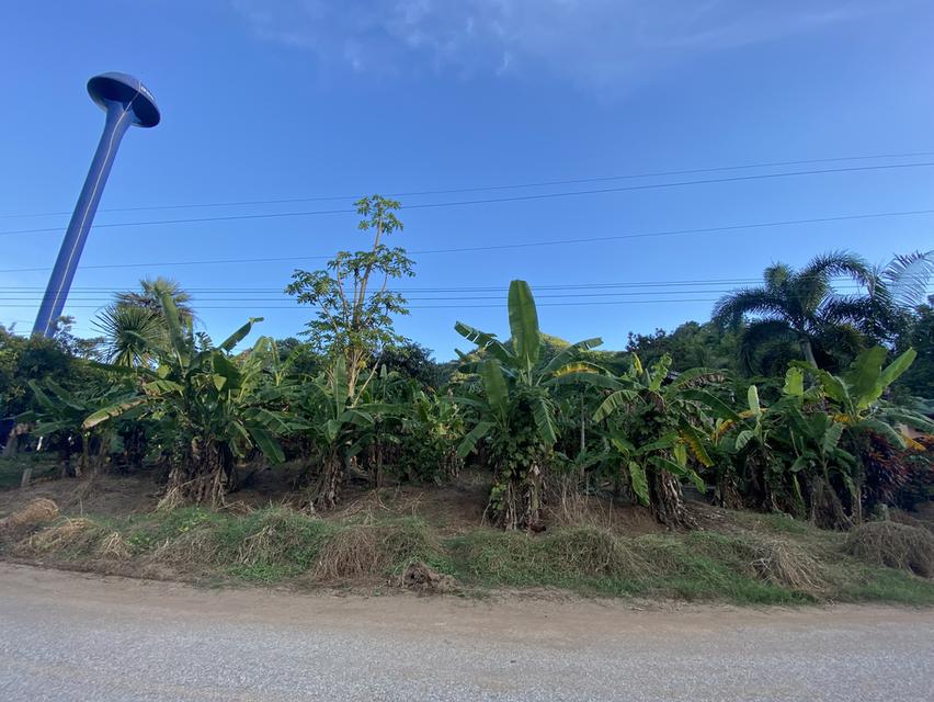 ขายที่ดินสวยสี่เหลี่ยมจัตุรัส มีโฉนด ติดถนนดำ ไฟฟ้า น้ำปะปา มีครบ วิวด้านหน้าเป็นภูเขา สามารถทำบ้านตากอากาศได้ดีใกล้กับวัดบุญน้ำทิพย์ บ้านพี้ ต.บ้านโต 5