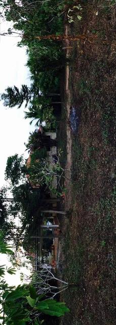 ที่ดินพร้อมบ้าน จังหวัด ลำพูน อำเภอเมือง 3