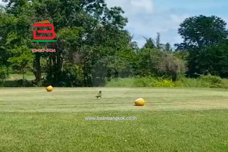 ที่ดิน อีสเทิร์นสตาร์ กอล์ฟ บ้านฉาง เนื้อที่ 413 ตรว. ตำบลพลา อำเภอบ้านฉาง จังหวัดระยอง 9