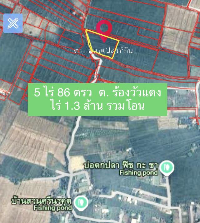 ที่ดิน 5 ไร่ 86 ตรว ต ร้องวัวแดง ไร่ 1.3 ล