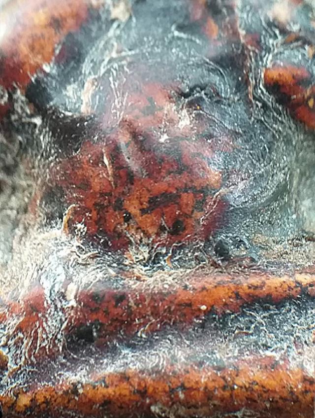 พระปิดตาหลวงปู่เอี่ยม วัดสะพานสูง. รูปที่ 8