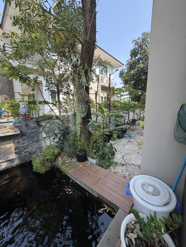 บ้านเดี่ยว 2ชั้น แถวสุวรรณภูมิ 2