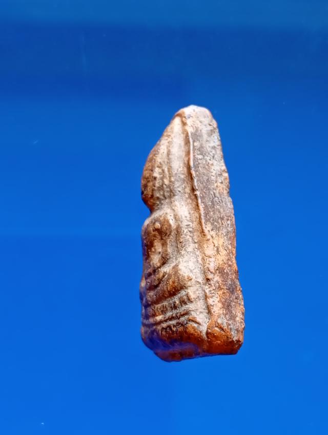 พระกรุท่ามะปราง สภาพเก่า รูปย่อยที่ 3