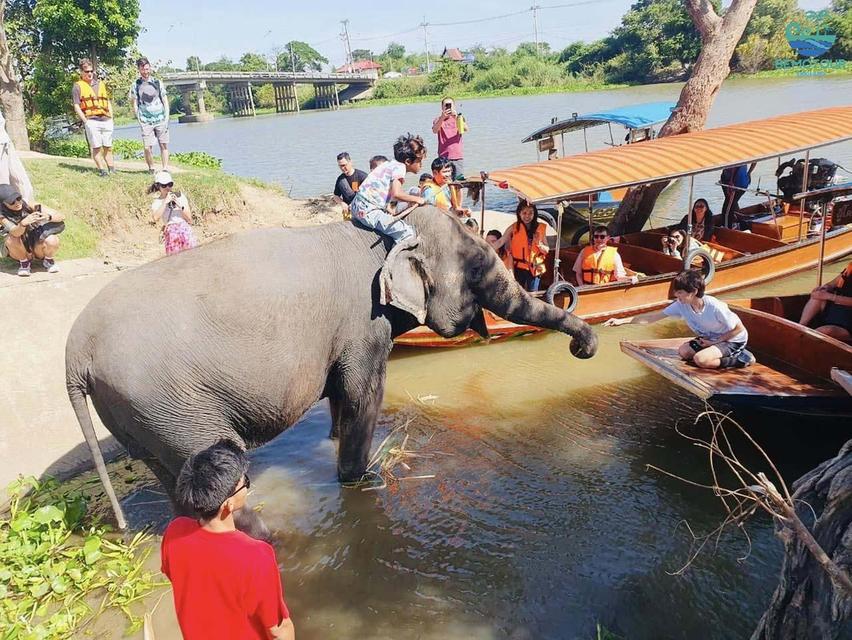 โปรแกรม AY224 ทัวร์อยุธยา One day trip by Bemotour นักท่องเที่ยวไทย : ท่านละ 1,500 บาท