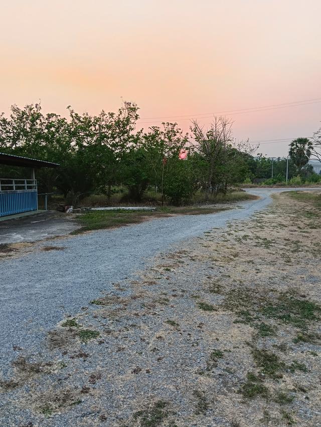 ขายด่วนบ้าน2หลังที่ดิน2ไร่เขตชุมชนติดถนนลาดยางน้ำไม่ท่วมไม่มีประวัติอยู่ไกล้ม. ราชมงคลสุวรรณภูมิสามชุกจ. สุพรรณขาย2. 55ล. สนใจ0894109810เจ้าของโดยตรง 20