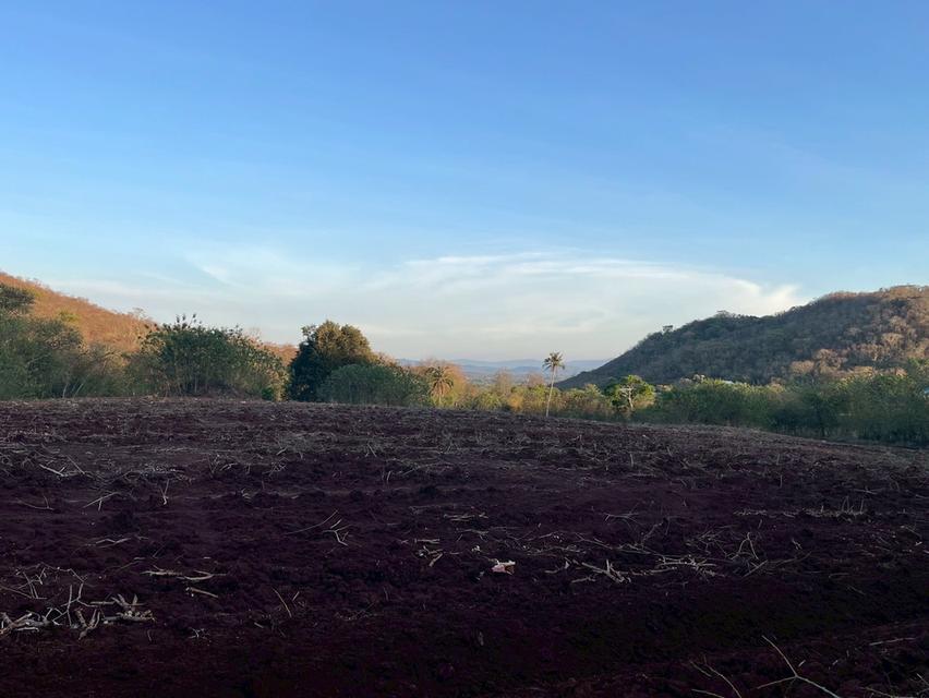 ขายที่ดินปากช่อง โฉนดครุฑแดง ติดถนน จำนวน 28 ไร่ 3