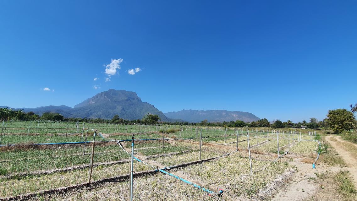 ที่ดิน อ.เชียงดาว จ.เชียงใหม่ วิวดอยหลวง 4 ไร่ 🔥 5.4 ล้าน 🔥 8