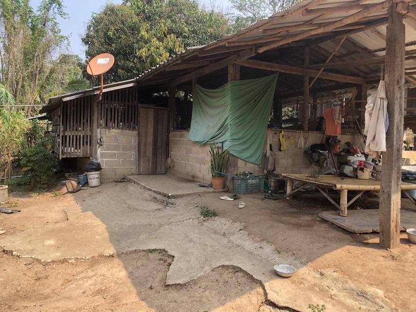 ขาย 230,000 บาท ที่ดิน 92 ตารางวา วังเหนือ ลำปาง  098 7755 808 3