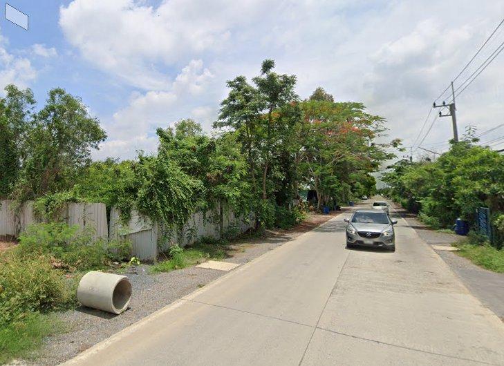ขายที่ดินคลองห้าถมแล้ว 200 ตรว. ซอยโรงเรียนทีปังกรวิทยาพัฒน์ ใกล้ถนนเส้น3010-300เมตร อ.คลองหลวง ปทุมธานี 6