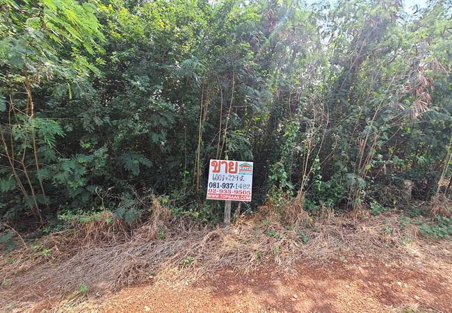 ขายที่ดิน ถนนฤชุพันธ์(บางบัวทอง-สุพรรณบุรี) ตำบลไทรใหญ่ อำเภอไทรน้อย นนทบุรี 5