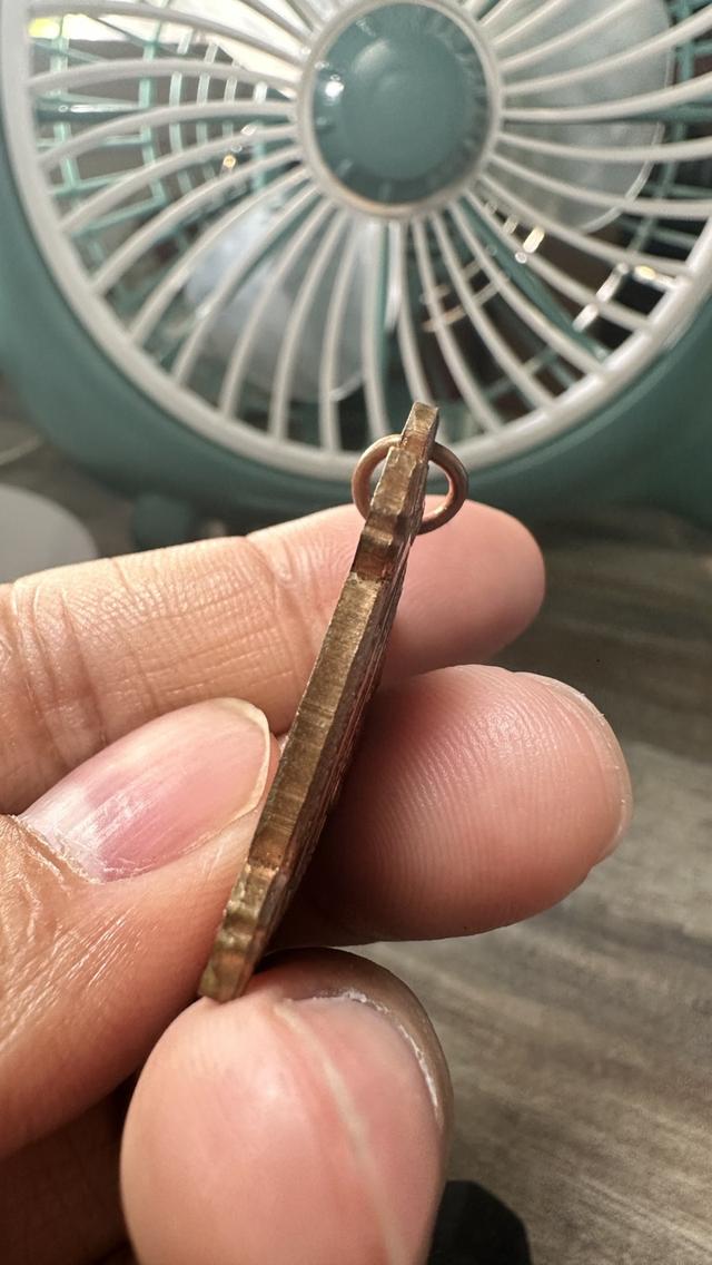 เหรียญเต่าหลวงพ่อหลิว รุ่น รวย รวย รวย รูปที่ 5