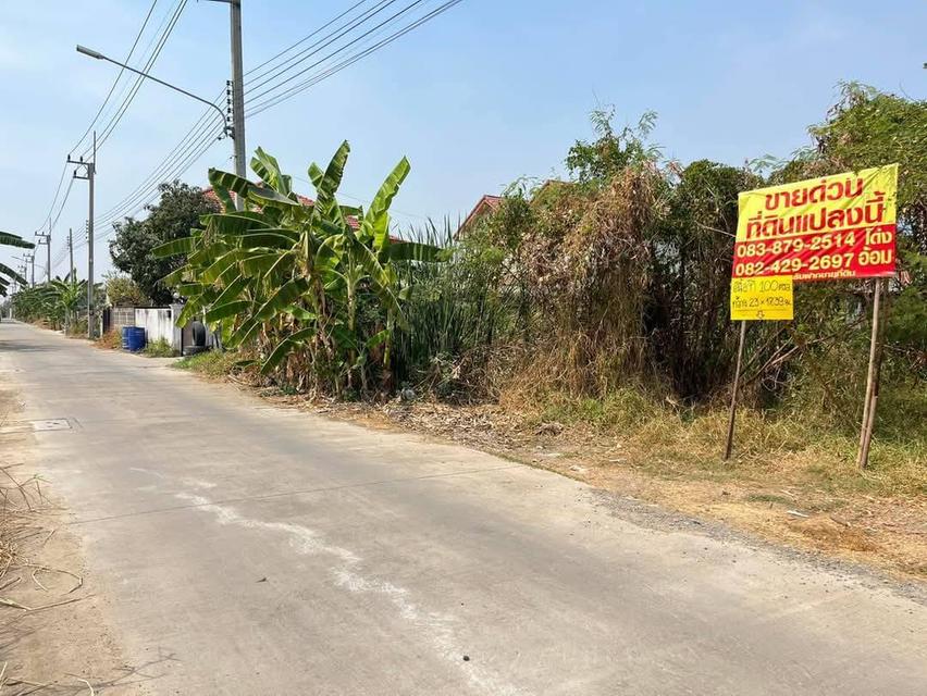 ขายด่วนที่ดิน 100 ตรว.ซอยบงกช45 คลองหลวง จ.ปทุมธานี ‼️รูปแปลงสวย  ถมแล้ว 50 ตรว. อีก50 ตรว. ยังไม่ถม 2