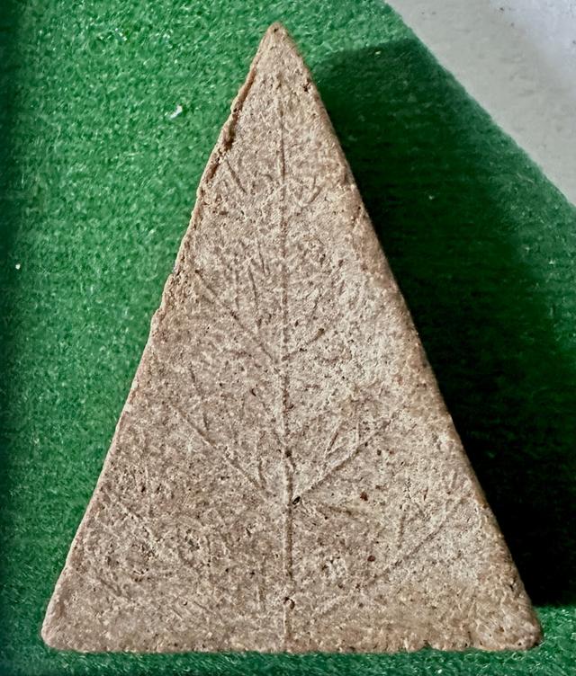 .พระสมเด็จแสน หลังใบโพธิ์ สังฆราชป๋า วัดโพธิ์ รุ่นแรก ปี2512 เนื้อจัด สวยสมบูรณ์เดิมๆ รูปที่ 4