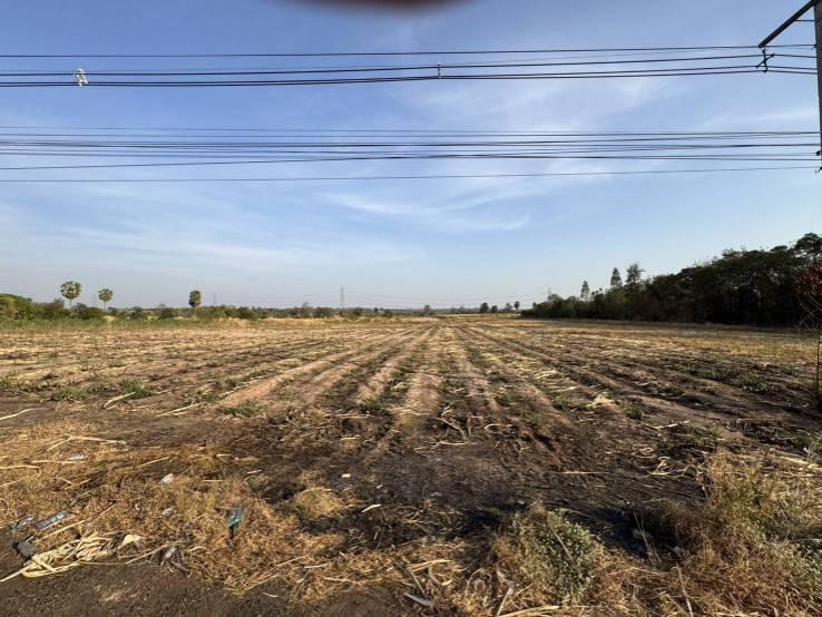 ขายที่ดินติดถนน  ห้วยไร่ ดงเย็น ชัยภูมิ ราคาต่อรองได้ 4