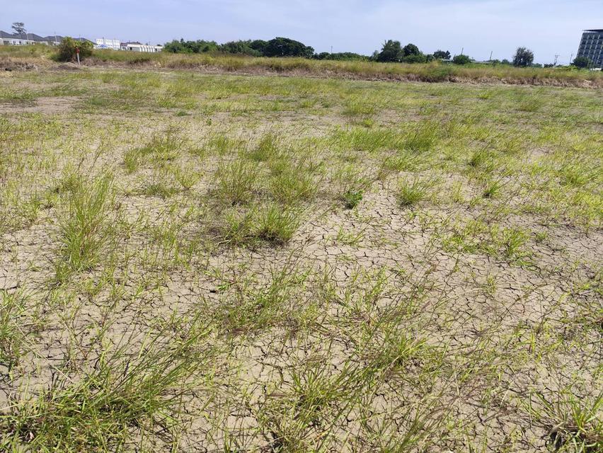 Sale large land 9.3 Rais suitable for projects or building house etc, can be subdivided Kamphaeng Saen District, Nakhon Pathom Province near Bangkok 9