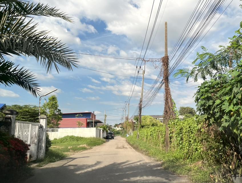 ขายที่ดิน 1 ไร่ ถนนนวมินทร์ ใกล้ทางด่วนเอกมัยรามอินทรา 098 7755 808 3