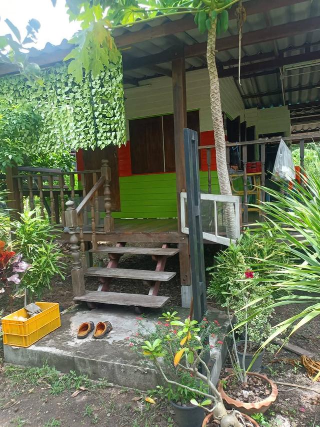 ขายบ้านสวน พร้อมที่ดิน!!!มีโฉนดครุฒแดง เนื้อที่ 1 ไร่ 37 ตารางวา ราคา1,200,000บาท ต่อรองได้ ขายเองไม่รับนายหน้าครับ ตั้งอยู่ทุ่งดินดำรีสอร์ทจังหวัดสุพ 2