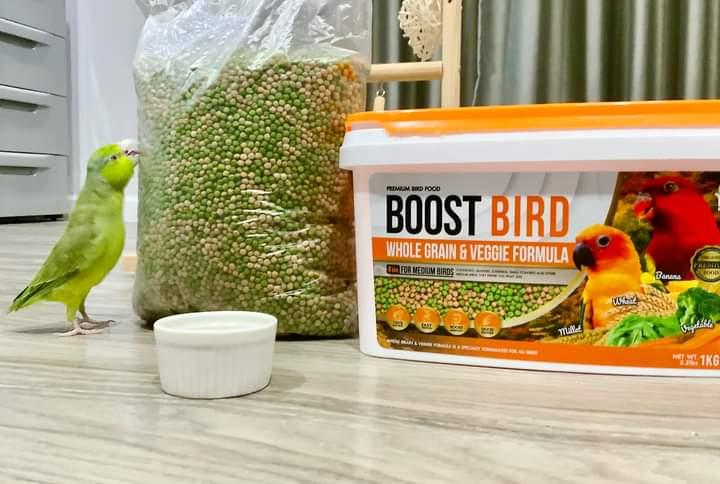 BOOST BIRD WHOLE GRAIN 3